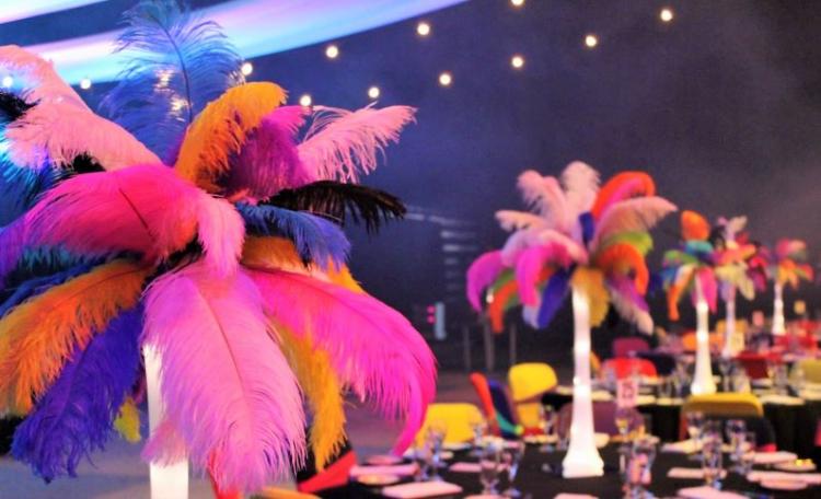 Fotografía 2 de plumas de avestruz de 30 a 70 cm teñidas en varios colores en ANTOFAGASTA, Antofagasta