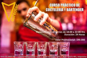 Curso Práctico de Coctelería y Bartender.