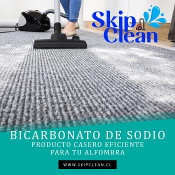 LAVADO, DESMANCHE Y DESINFECCIÓN DE ALFOMBRAS EN TODO SANTIAGO en PROVIDENCIA, Metropolitana