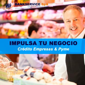 ASESORÍA FINANCIERA, GESTIÓN DE CRÉDITOS DIFÍCILES PARA MICRO EMPRESAS en ÑUÑOA, Metropolitana