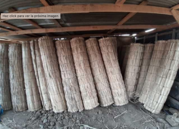 Rollos de Totora para Cierre perimetral en PAINE, Metropolitana