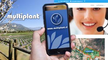 Viveros Multiplant Ltda. es una empresa líder en la industria de plantas ornamentales para jardín  en OLMUE, Valparaíso