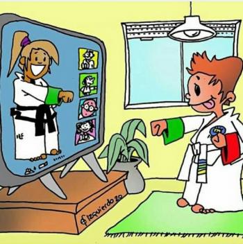 Fotografía 2 de Clases online de artes marciales. Taekwondo