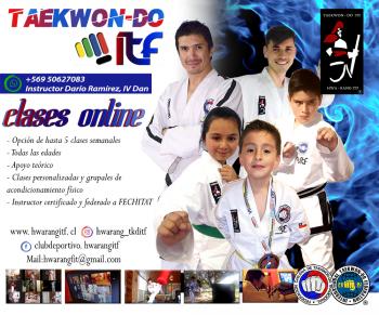 Clases online de artes marciales. Taekwondo