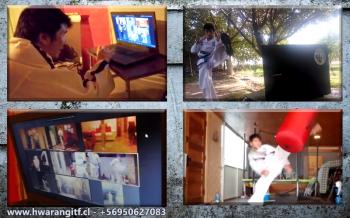 Fotografía 3 de Clases online de artes marciales. Taekwondo