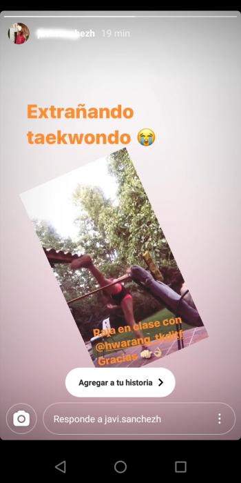 Fotografía 4 de Clases online de artes marciales. Taekwondo