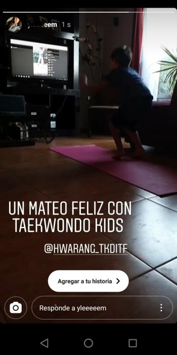 Fotografía 6 de Clases online de artes marciales. Taekwondo