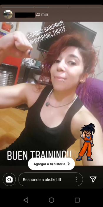 Fotografía 7 de Clases online de artes marciales. Taekwondo
