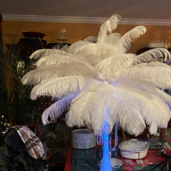 Plumas De Avestruz Para Centro De Mesa en SANTIAGO, Metropolitana