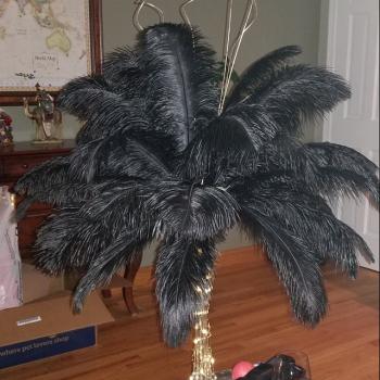 Fotografía 2 de Plumas De Avestruz Para Centro De Mesa