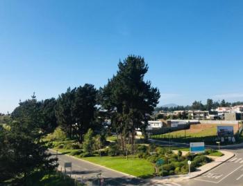 Fotografía 5 de Depto SIN MUEBLES NUEVO Bosque de Montemar