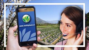 Vivero Multiplant - Plantas Ornamentales Mayorista y Público General