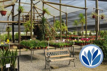 Fotografía 5 de Vivero Multiplant - Plantas Ornamentales Mayorista y Público General