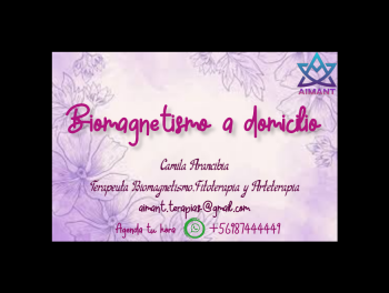 BIOMAGNETISMO A DOMICILIO