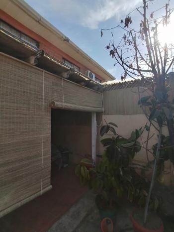 Cortinas de Totora