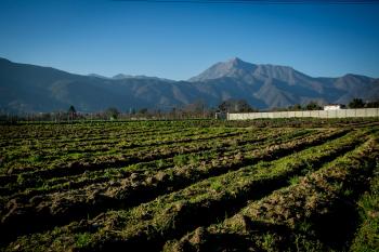 Fotografía 2 de Campana Propiedades - Terrenos en Olmué