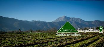 Fotografía 3 de Campana Propiedades - Terrenos en Olmué