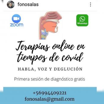 Fotografía 2 de Fonoaudiólogo