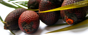 Fotografía 7 de PRODUCCION Y COMERCIALIZACION DE PRODUCTOS 100% NATURALES