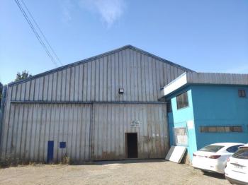 BODEGA COMERCIAL CORONEL (ARRENDADA)