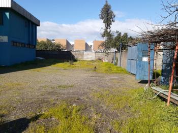 Fotografía 13 de BODEGA COMERCIAL CORONEL (ARRENDADA)