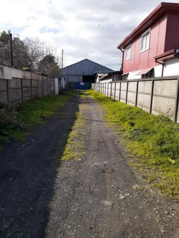 Fotografía 14 de BODEGA COMERCIAL CORONEL (ARRENDADA)